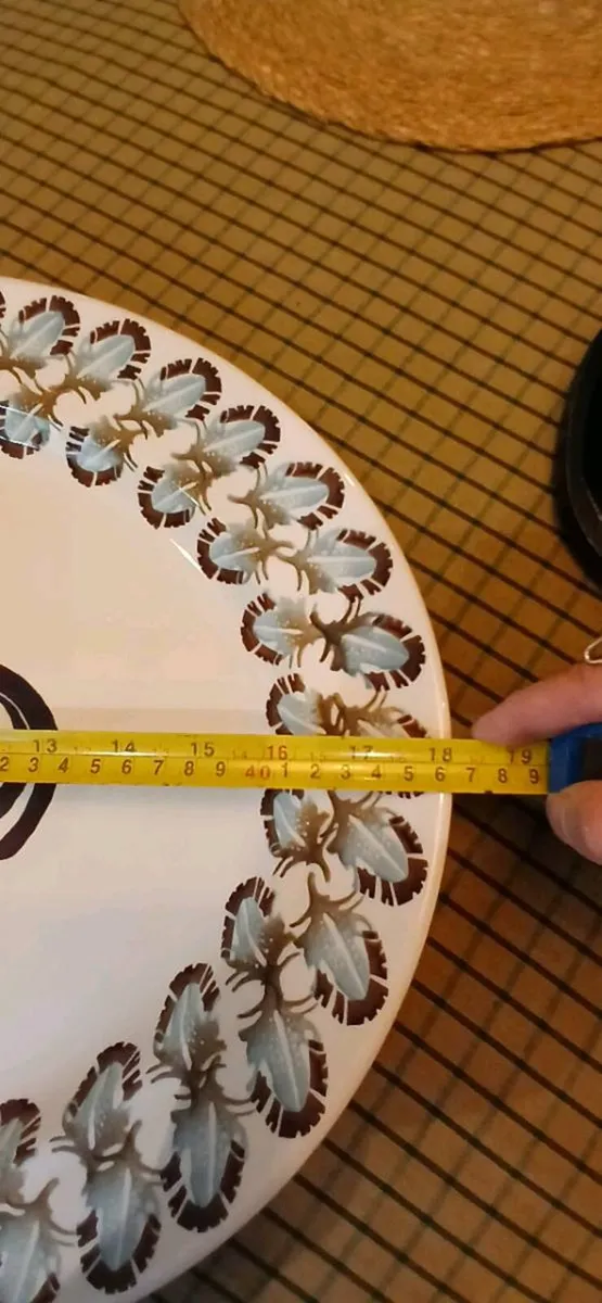 Pottery Emma Bridgewater Large serving platter - Image 2