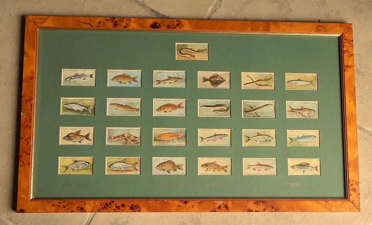 Vintage Collection Freshwater Fish Cigarette Cards - Image 1