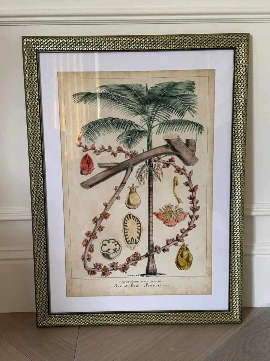 Art - Prints - Exotic Palms II - Image 1