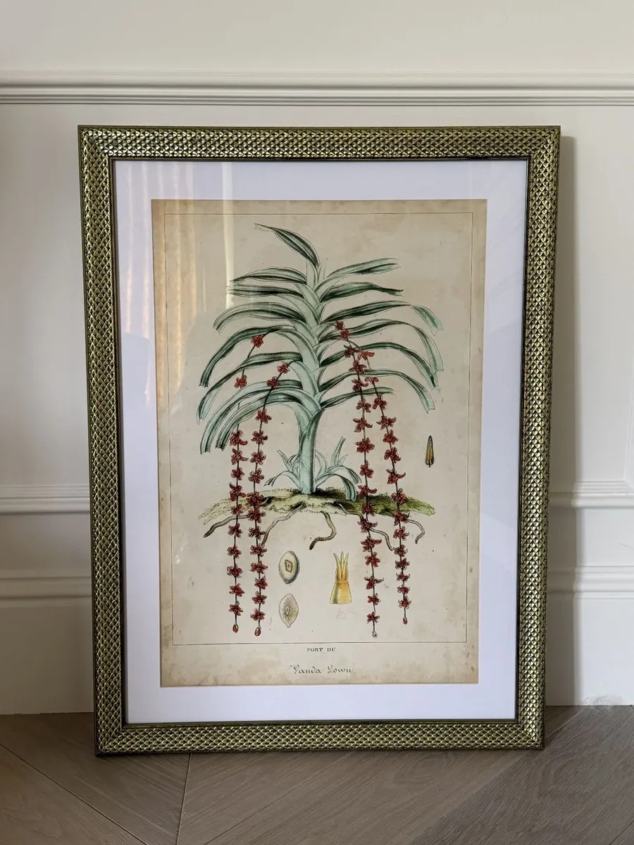 Art - Prints - Exotic Palms II - Image 2