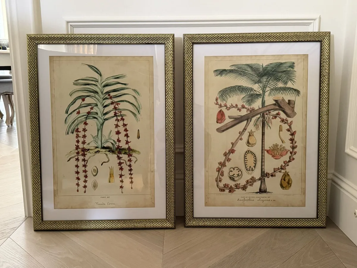 Art - Prints - Exotic Palms II - Image 3