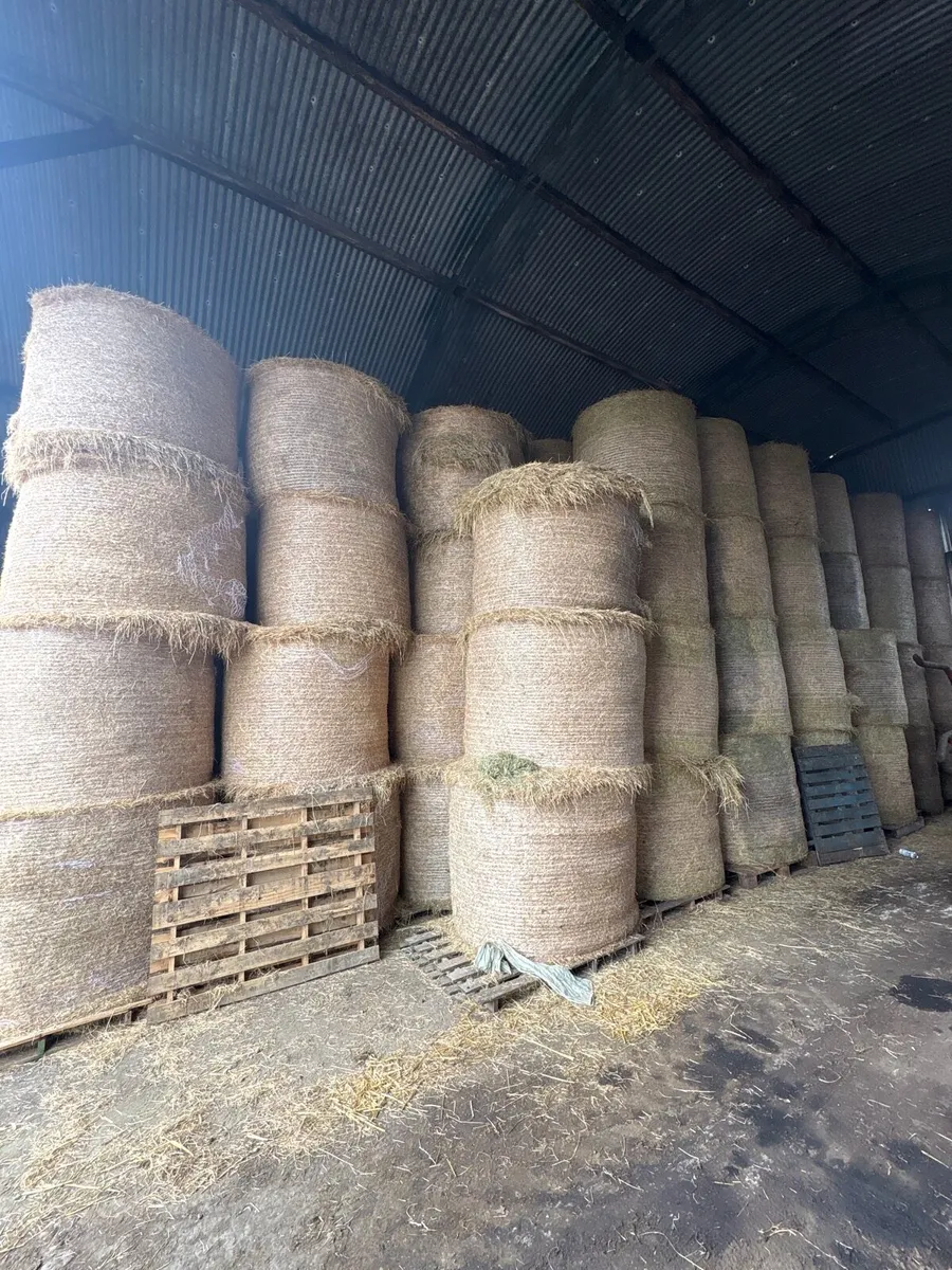 Hay & Silage - Image 1