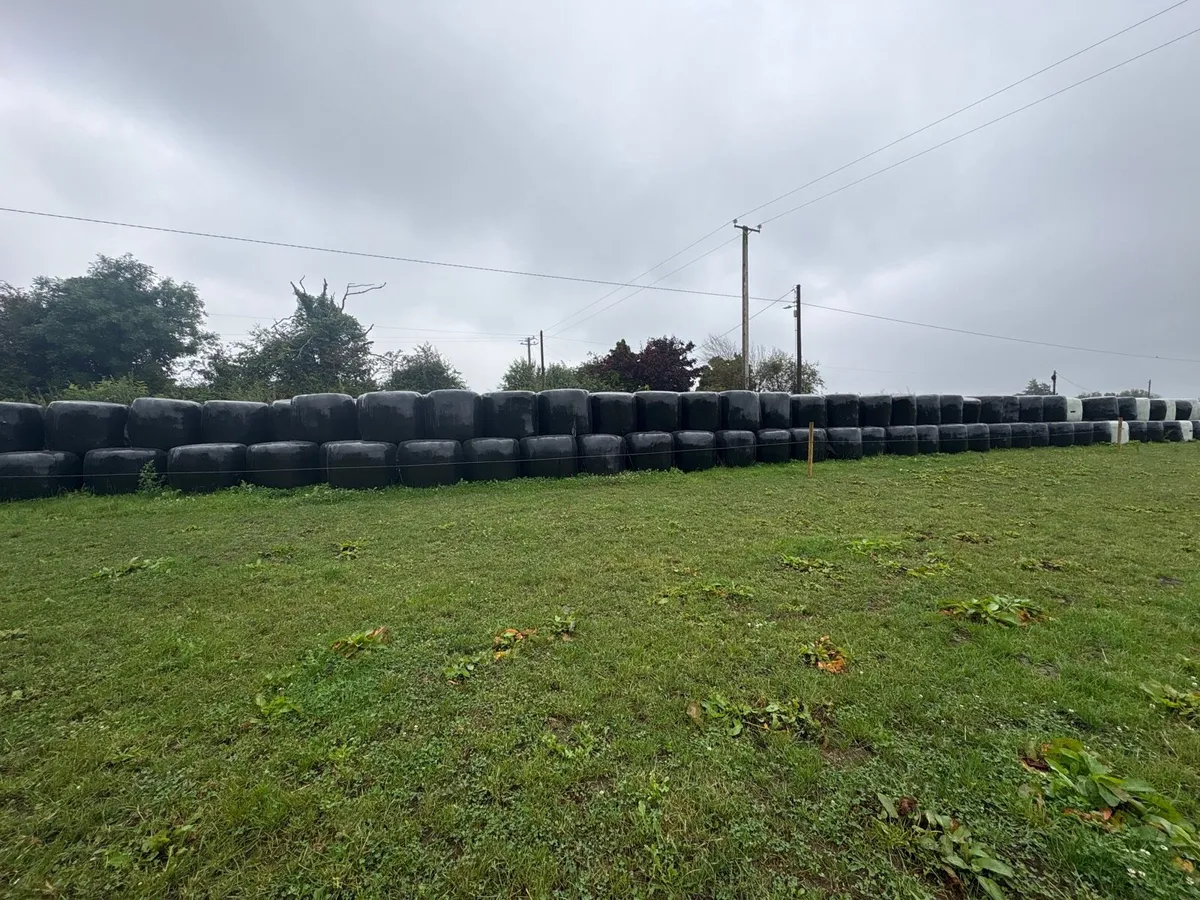 Hay & Silage - Image 4