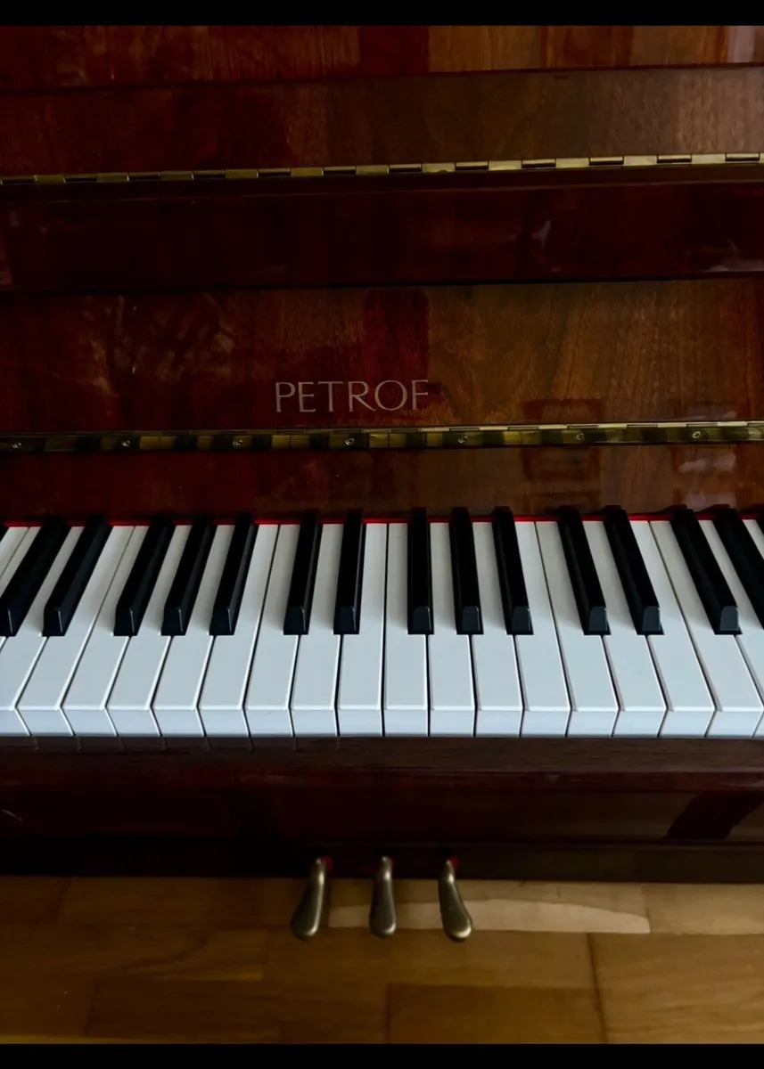 Pristine Condition Petrof 116 Walnut Upright Piano - Image 2