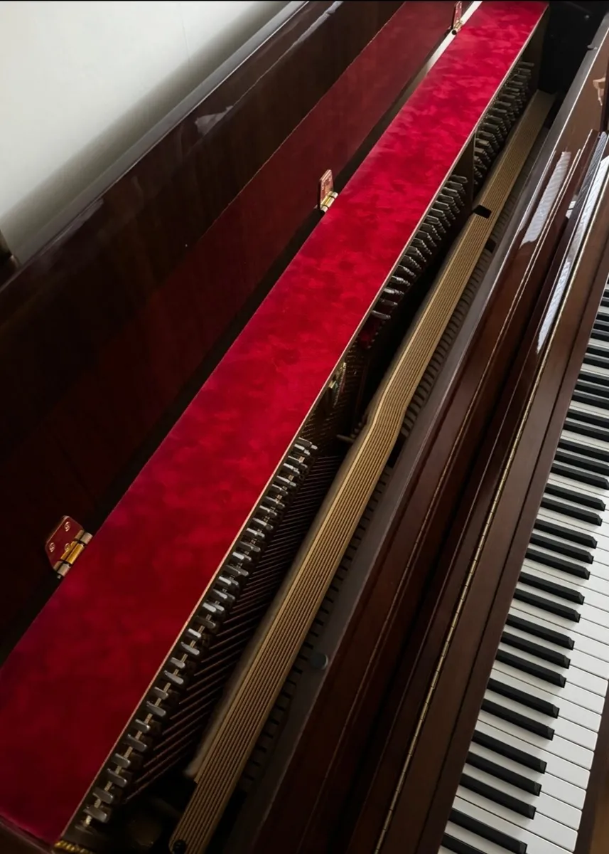 Pristine Condition Petrof 116 Walnut Upright Piano - Image 3