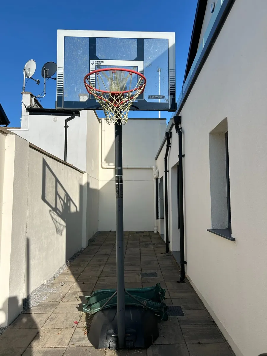 Lifetime Basketball Hoop - Image 1