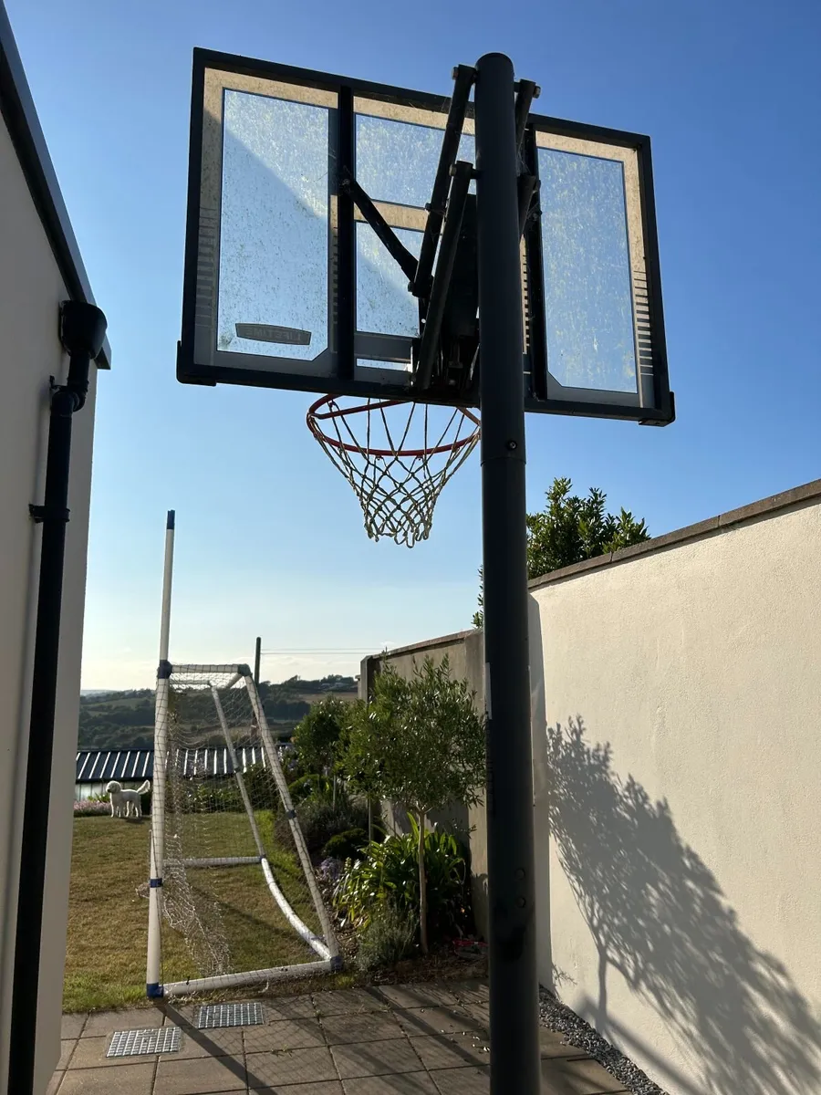 Lifetime Basketball Hoop - Image 2