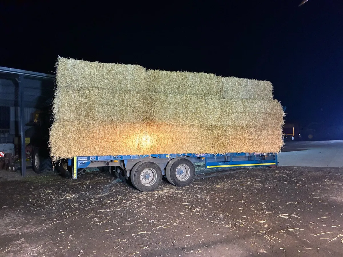 Barley straw - Image 4