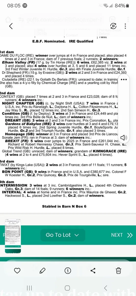 Dam of blacktype - Image 2