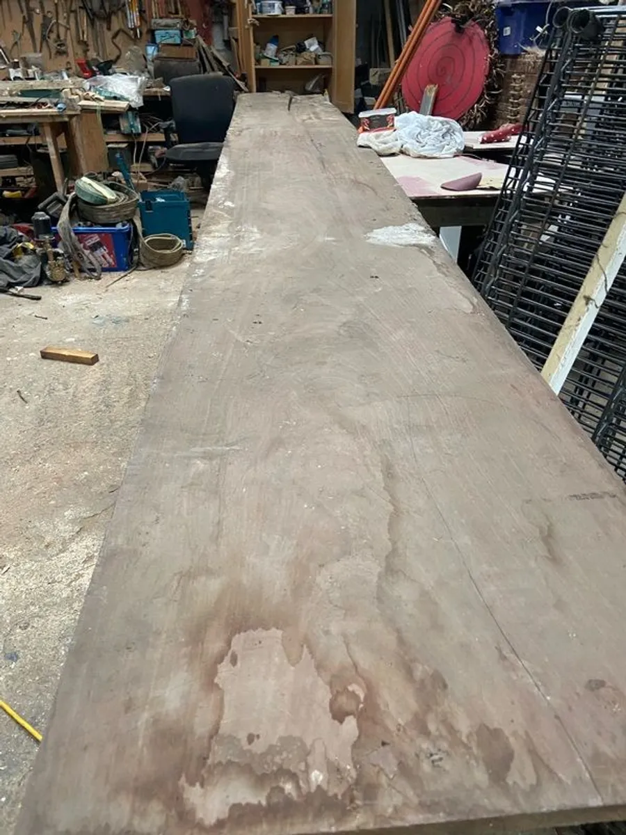 Perfect grain length of okd growth Cuban mahogany - Image 3