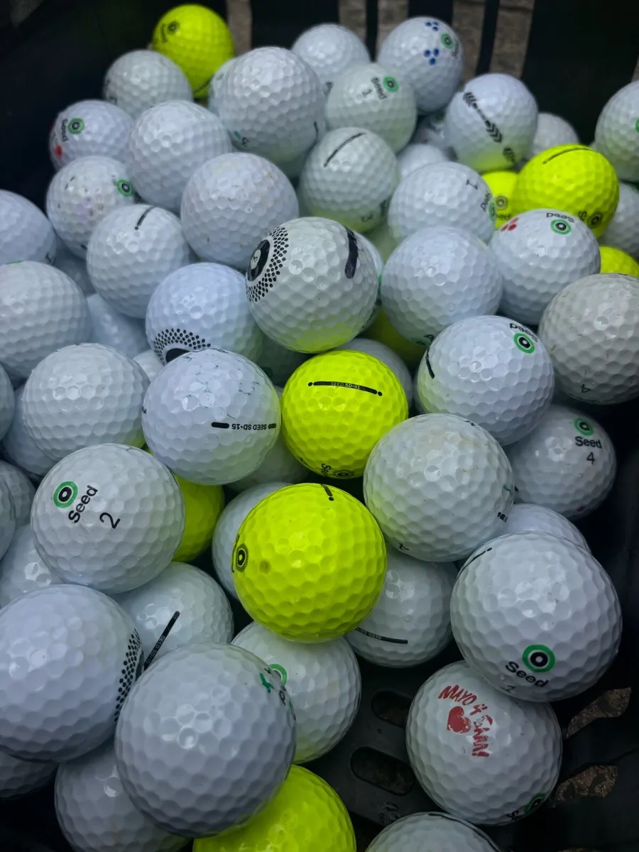 20 Seed Golf Balls - Image 3