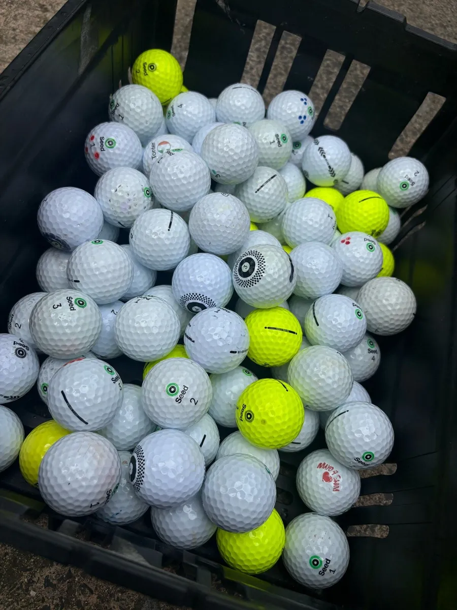 20 Seed Golf Balls - Image 1