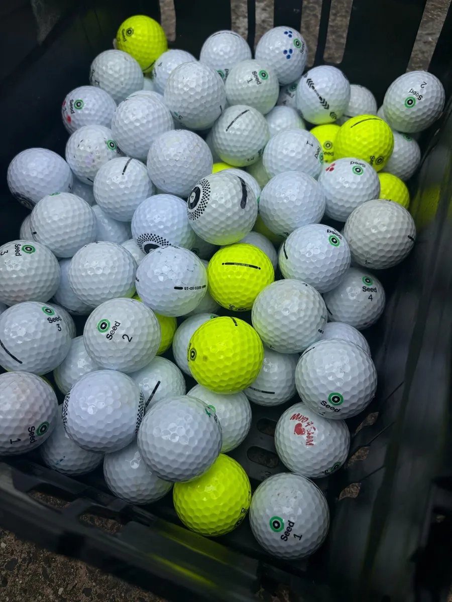 20 Seed Golf Balls - Image 2