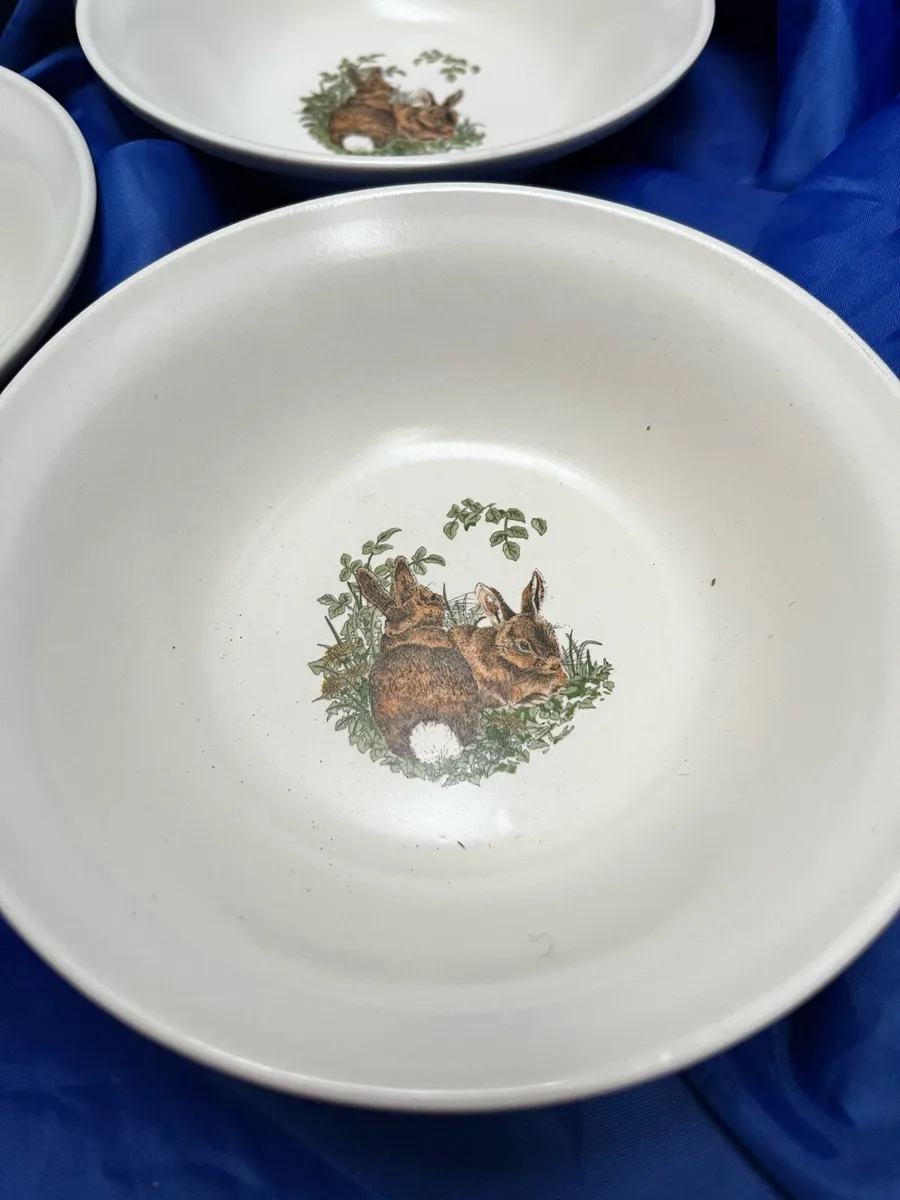 6 Carrigdhoun Bowls - Image 3