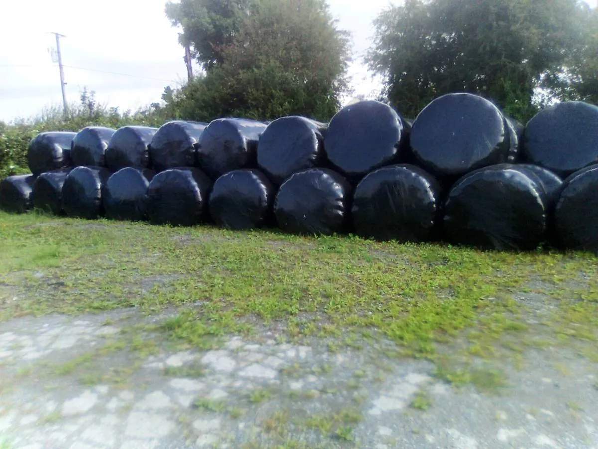 Bales silage100 - Image 3