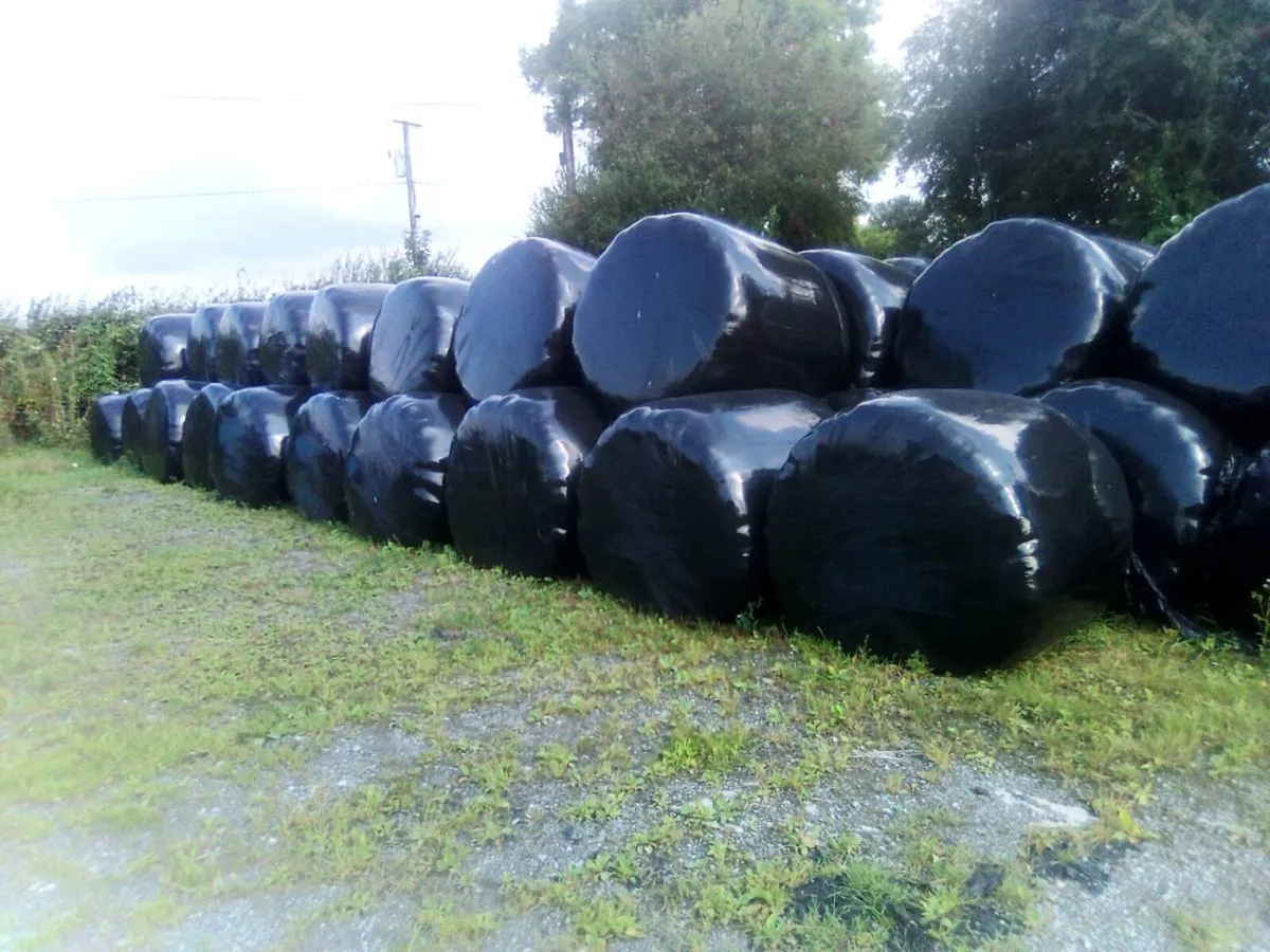 Bales silage100 - Image 1