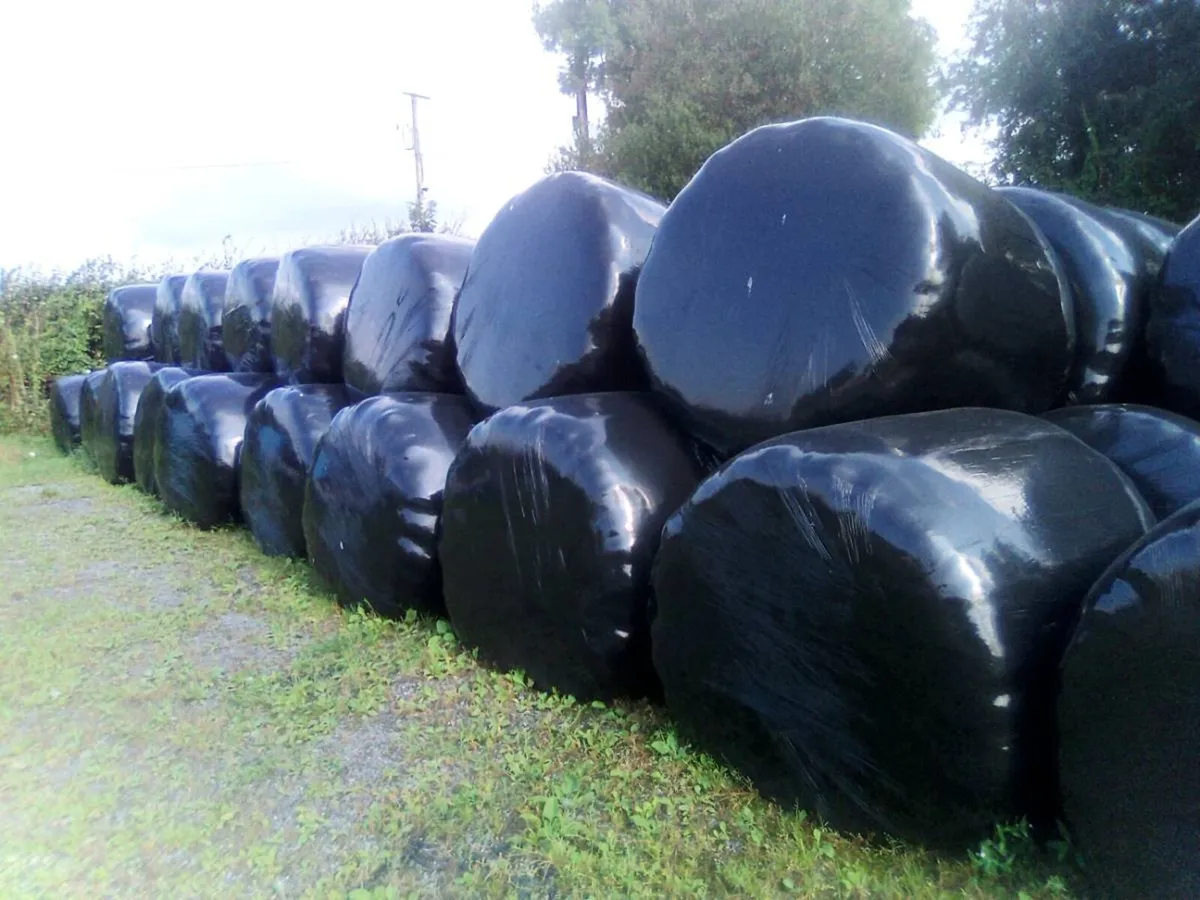 Bales silage100 - Image 2