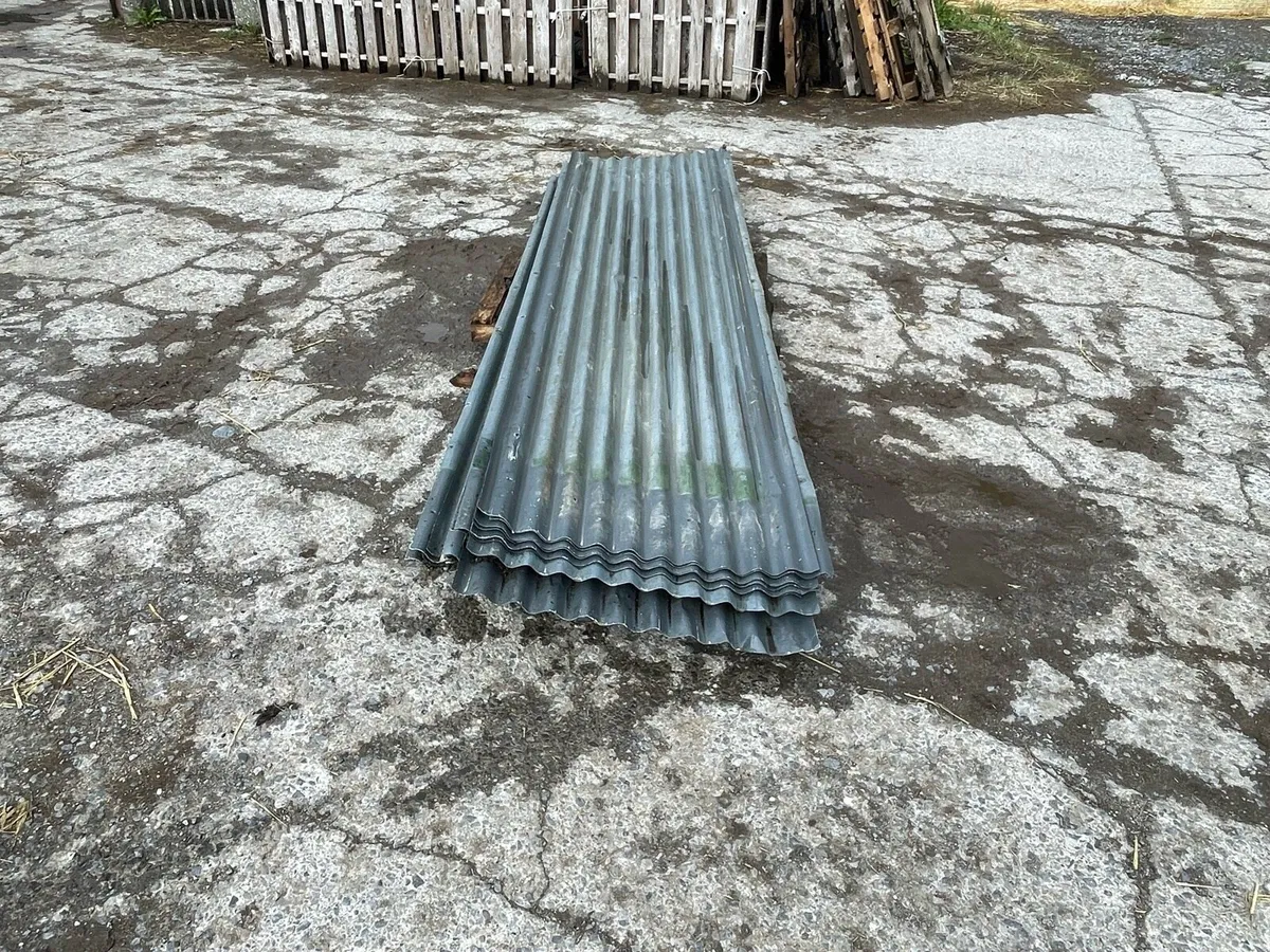 Painted sheeting - Image 3