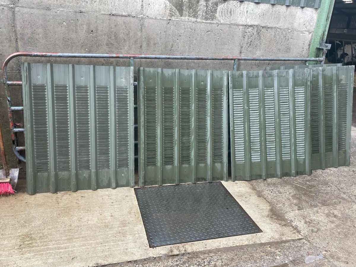 Painted sheeting - Image 4