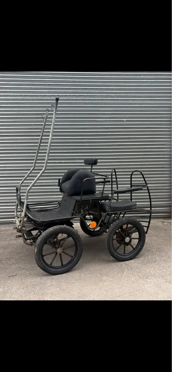 Horse Carriages - Image 1