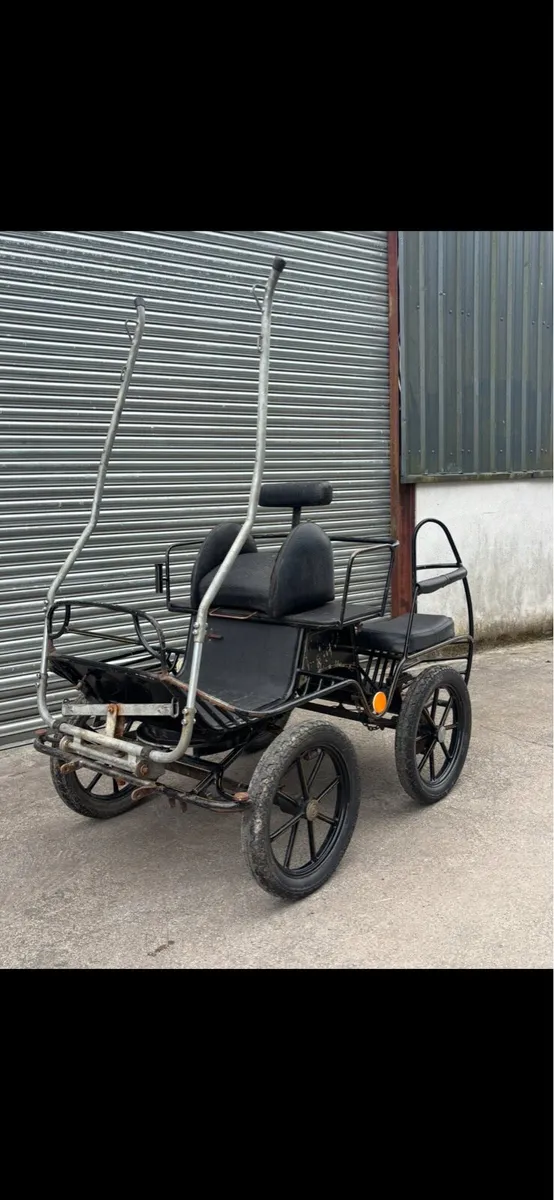 Horse Carriages - Image 2