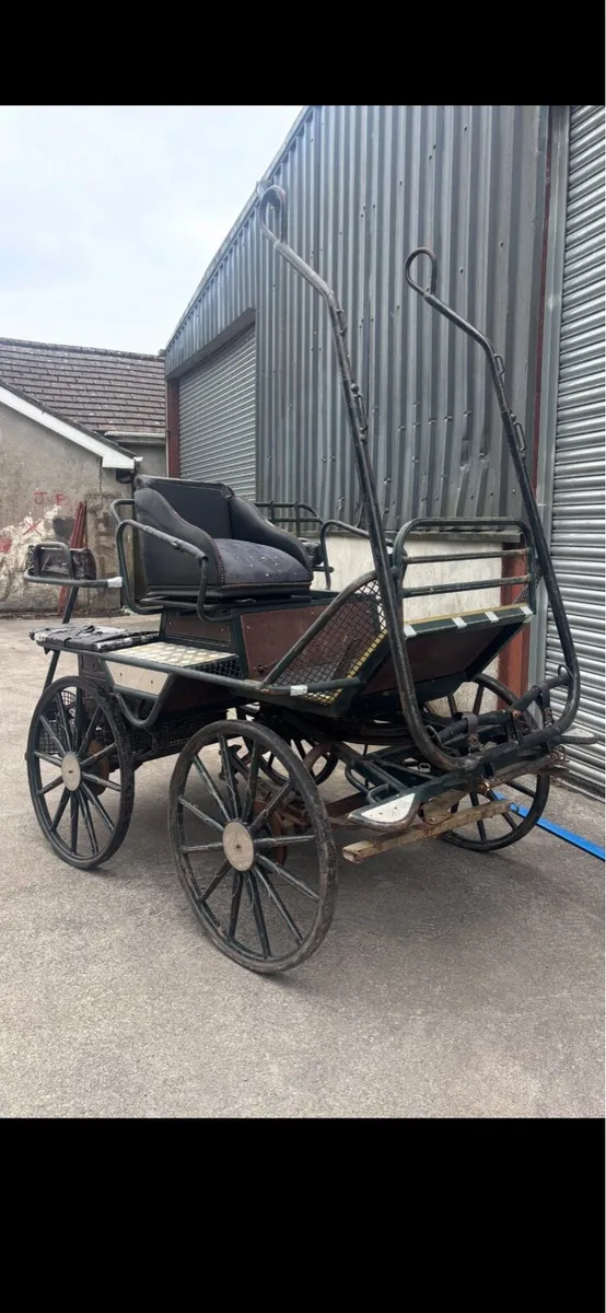 Horse Carriages - Image 4