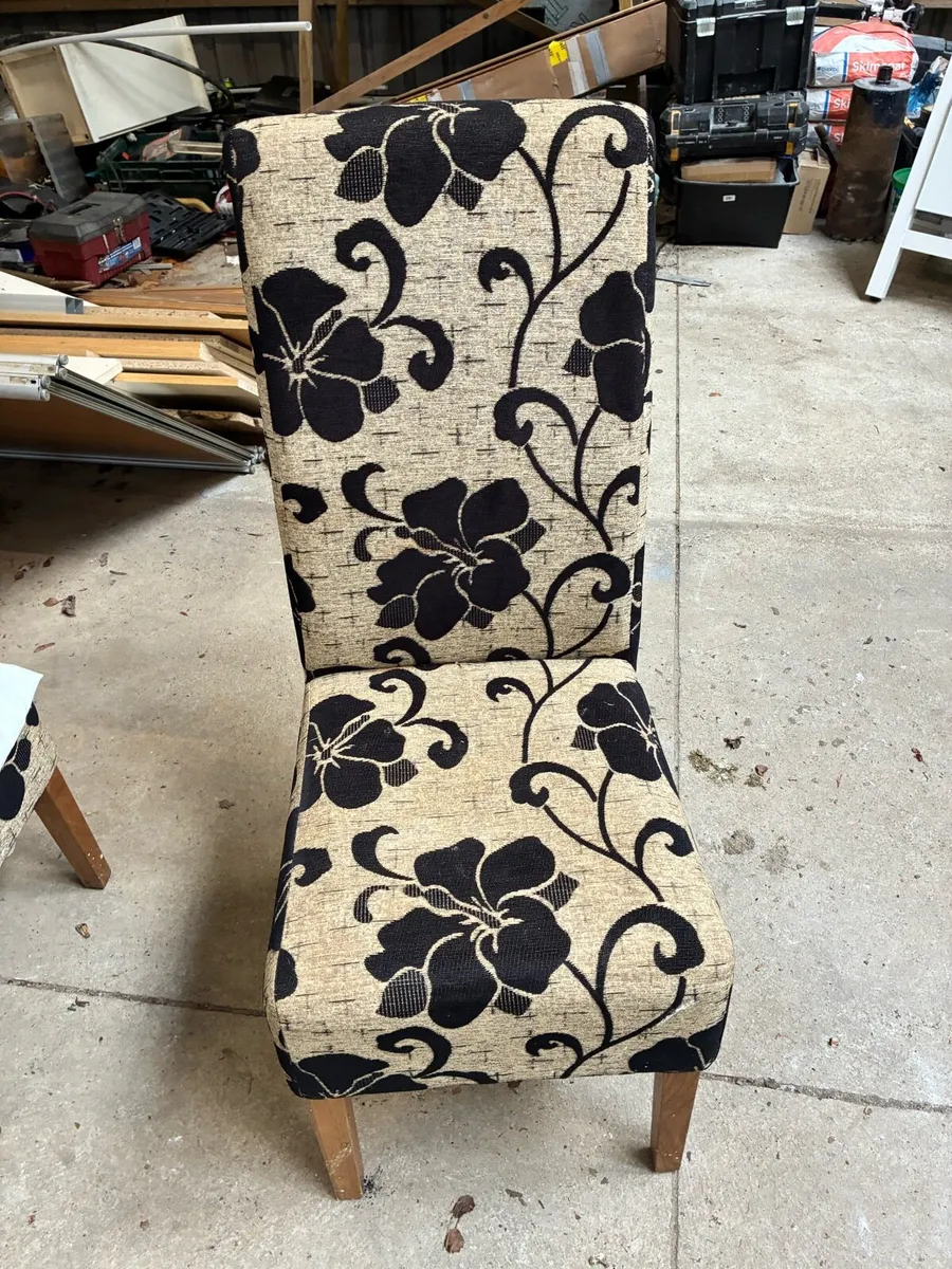 Dinning chairs - Image 1