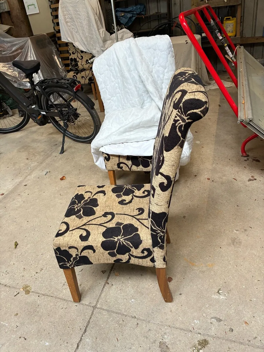 Dinning chairs - Image 3