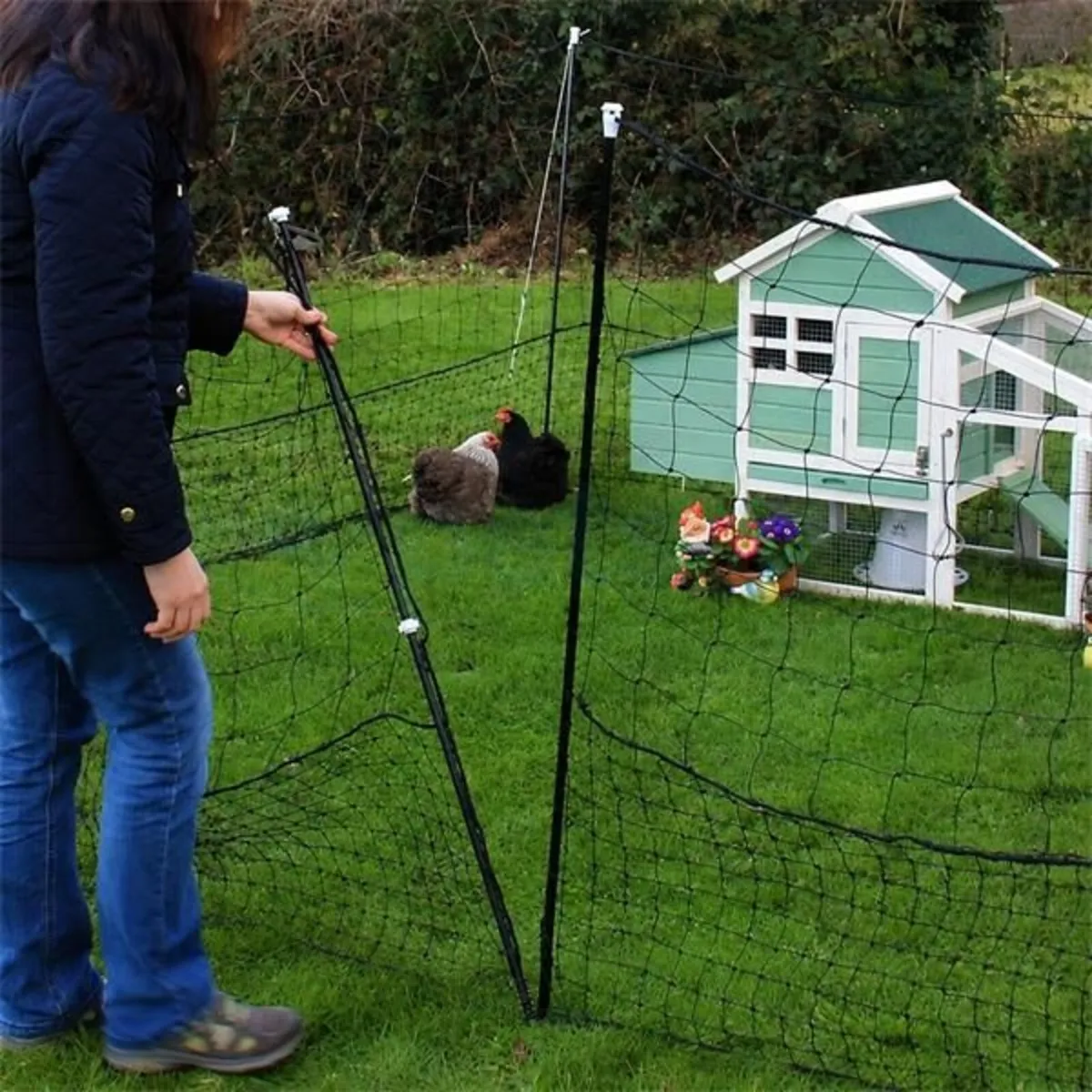 Chicken Fencing Pen - Image 3