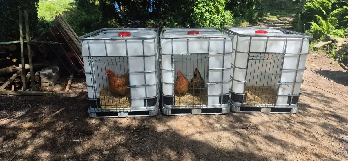 IBC Animal shelters - Image 1