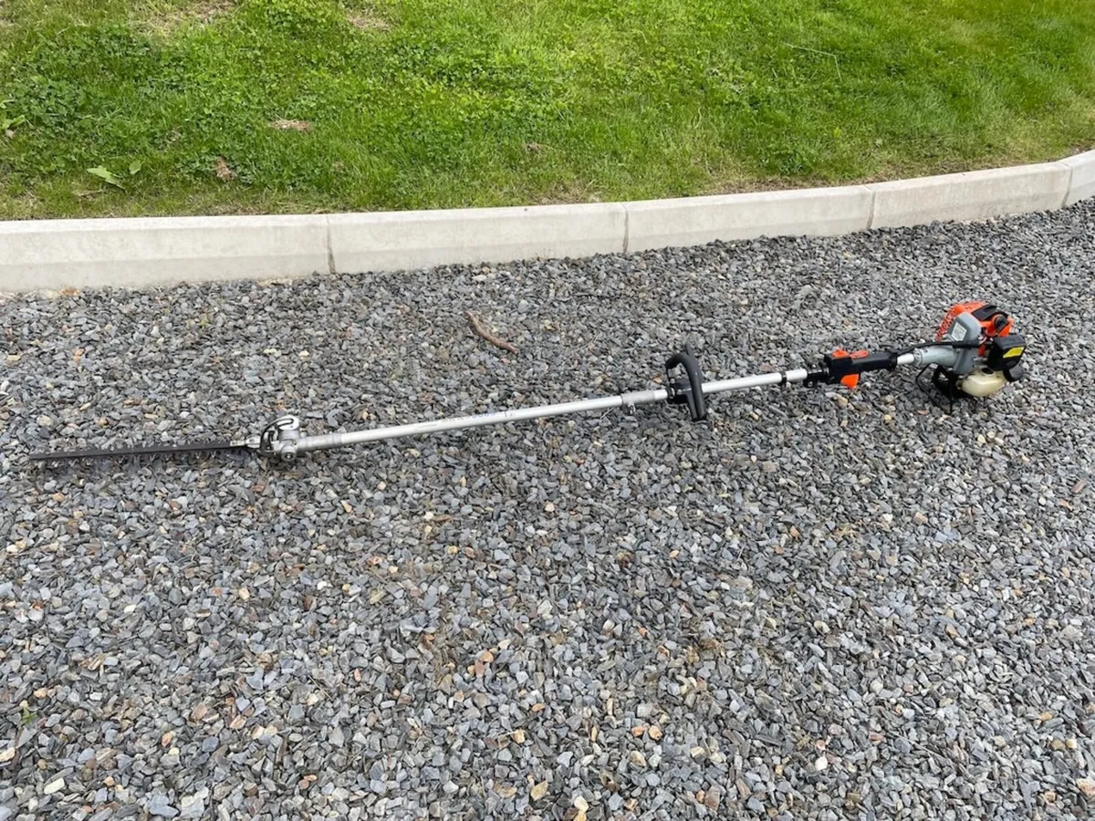 Lyster hedge Pole Strimmer - Image 1