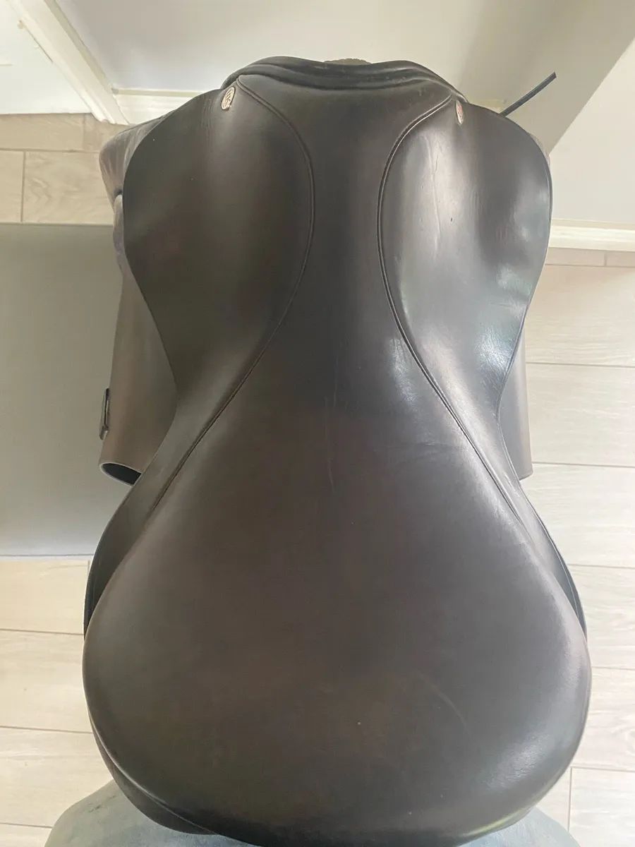 Classic Old English GP Saddle Medium Tree - Image 2