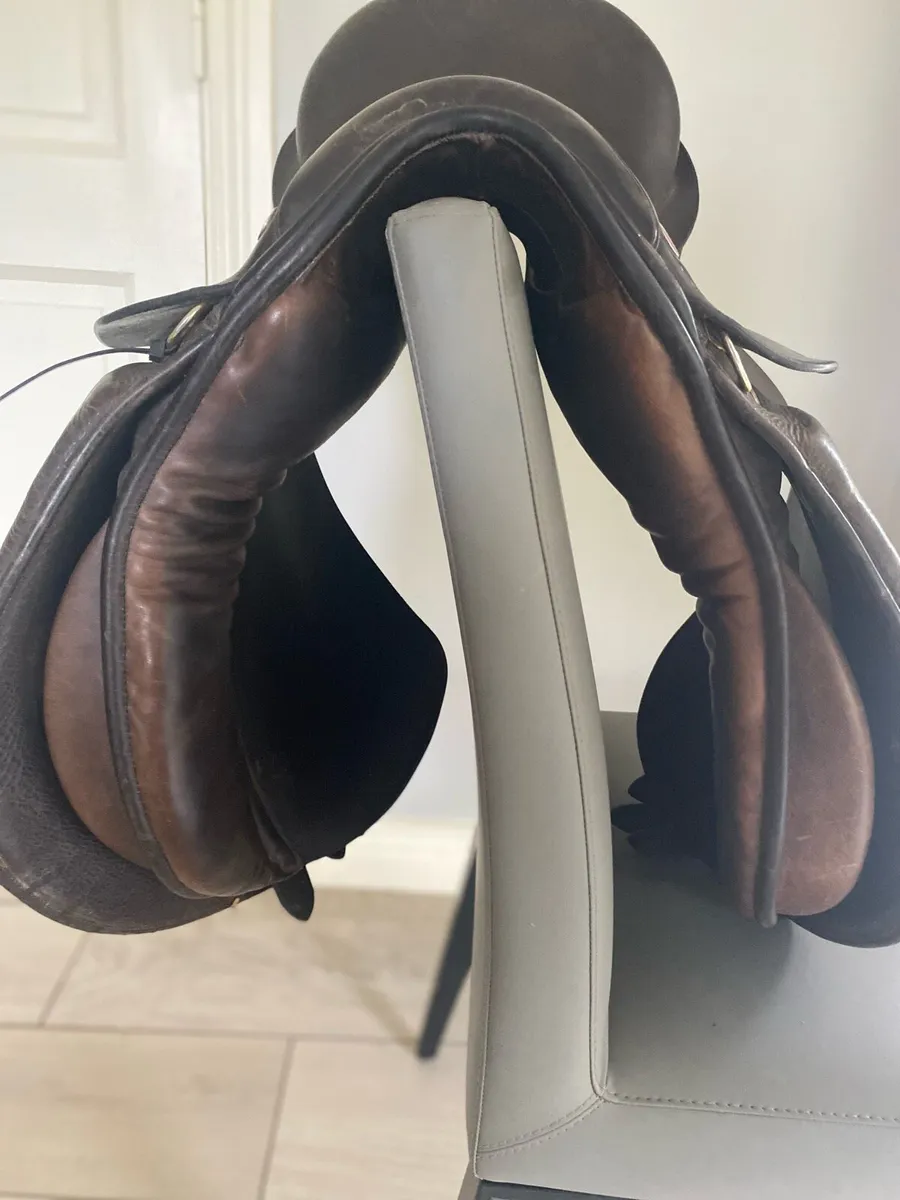 Classic Old English GP Saddle Medium Tree - Image 3