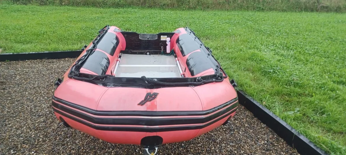 Rib - Image 3
