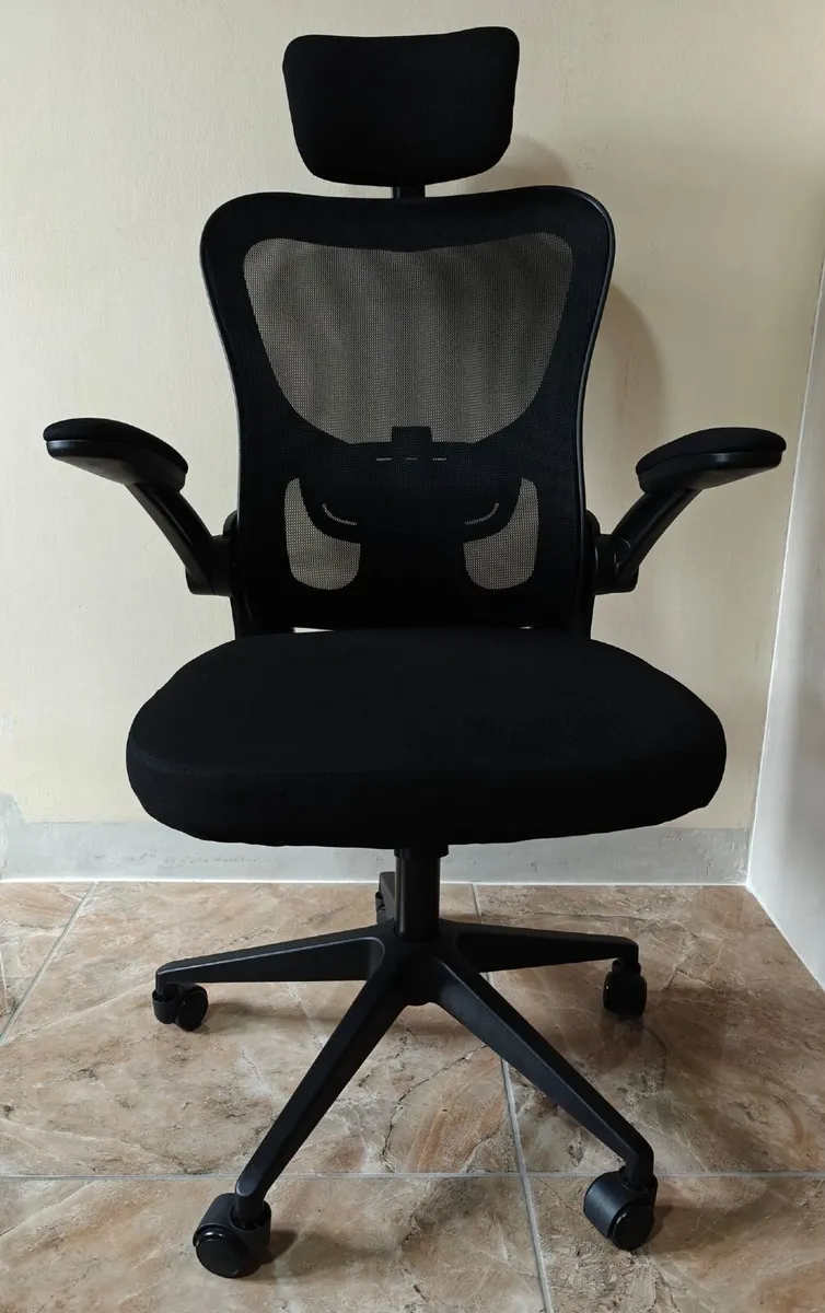 Computer/Desk Chair