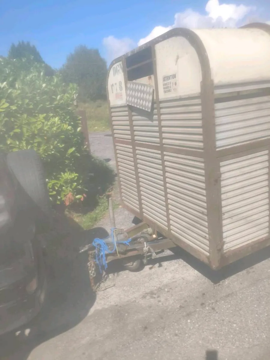 Hamilton Cattle Trailer 12x6 - Image 1