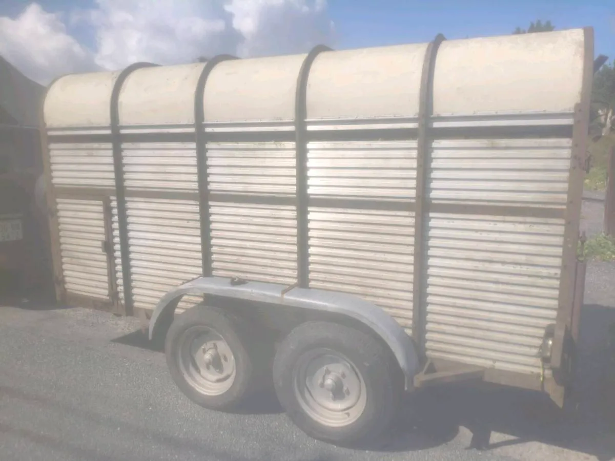 Hamilton Cattle Trailer 12x6 - Image 2