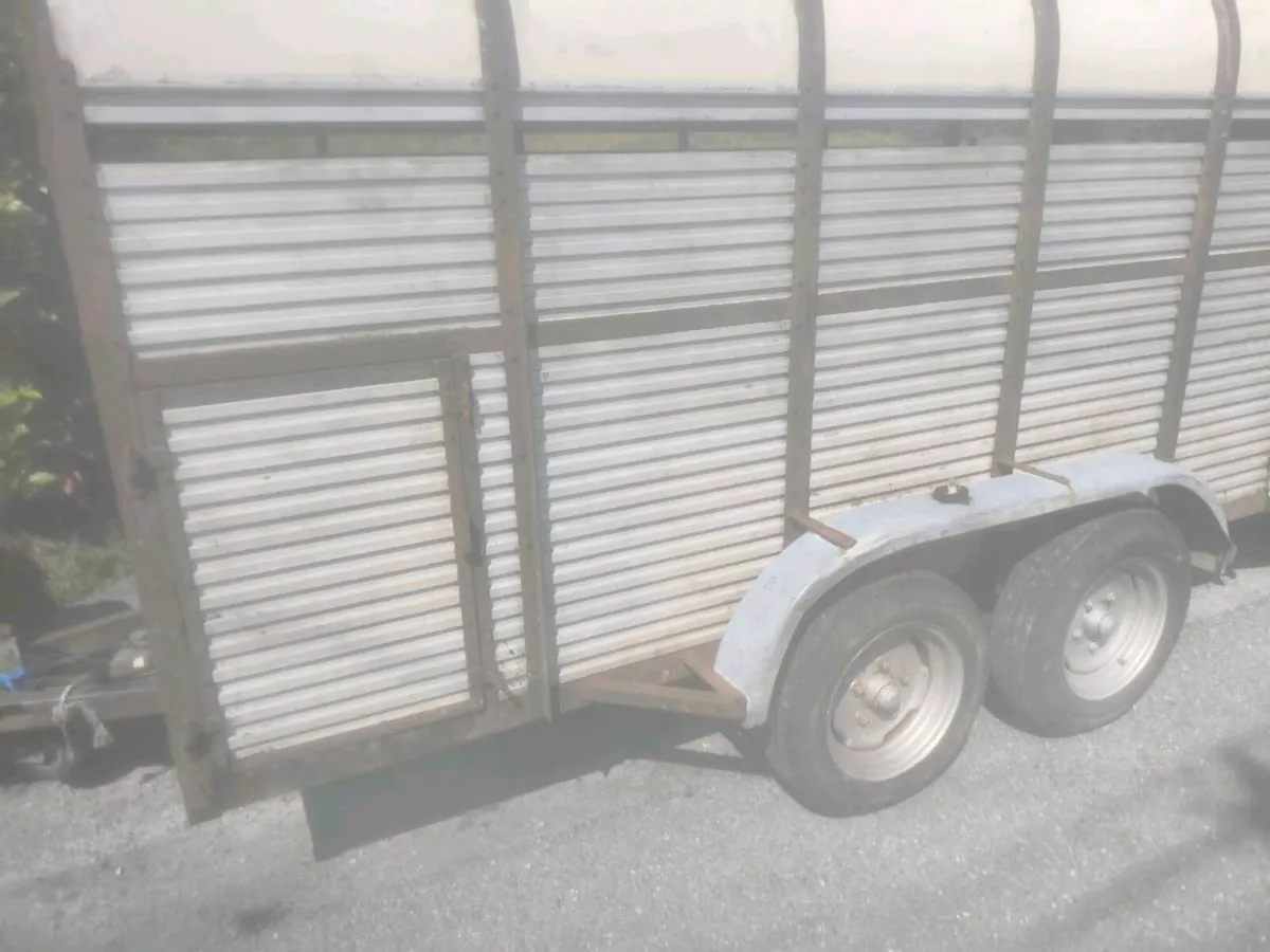 Hamilton Cattle Trailer 12x6 - Image 3