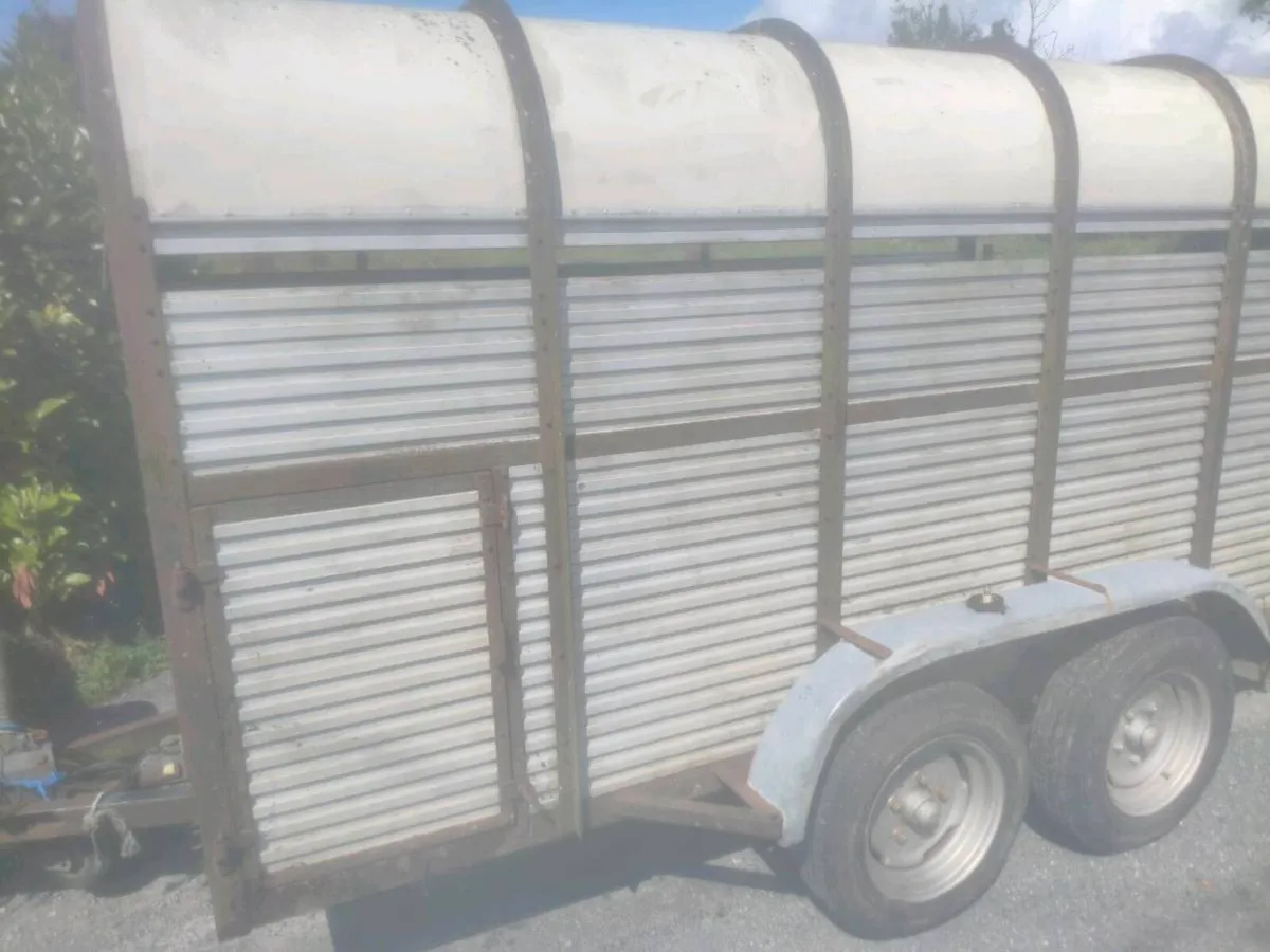 Hamilton Cattle Trailer 12x6 - Image 4