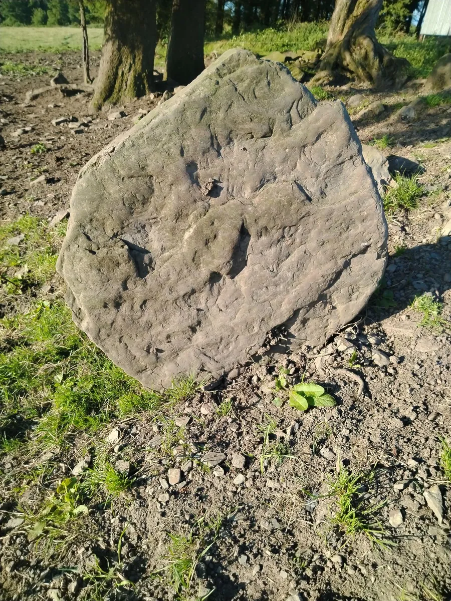 Flag stone - Image 1