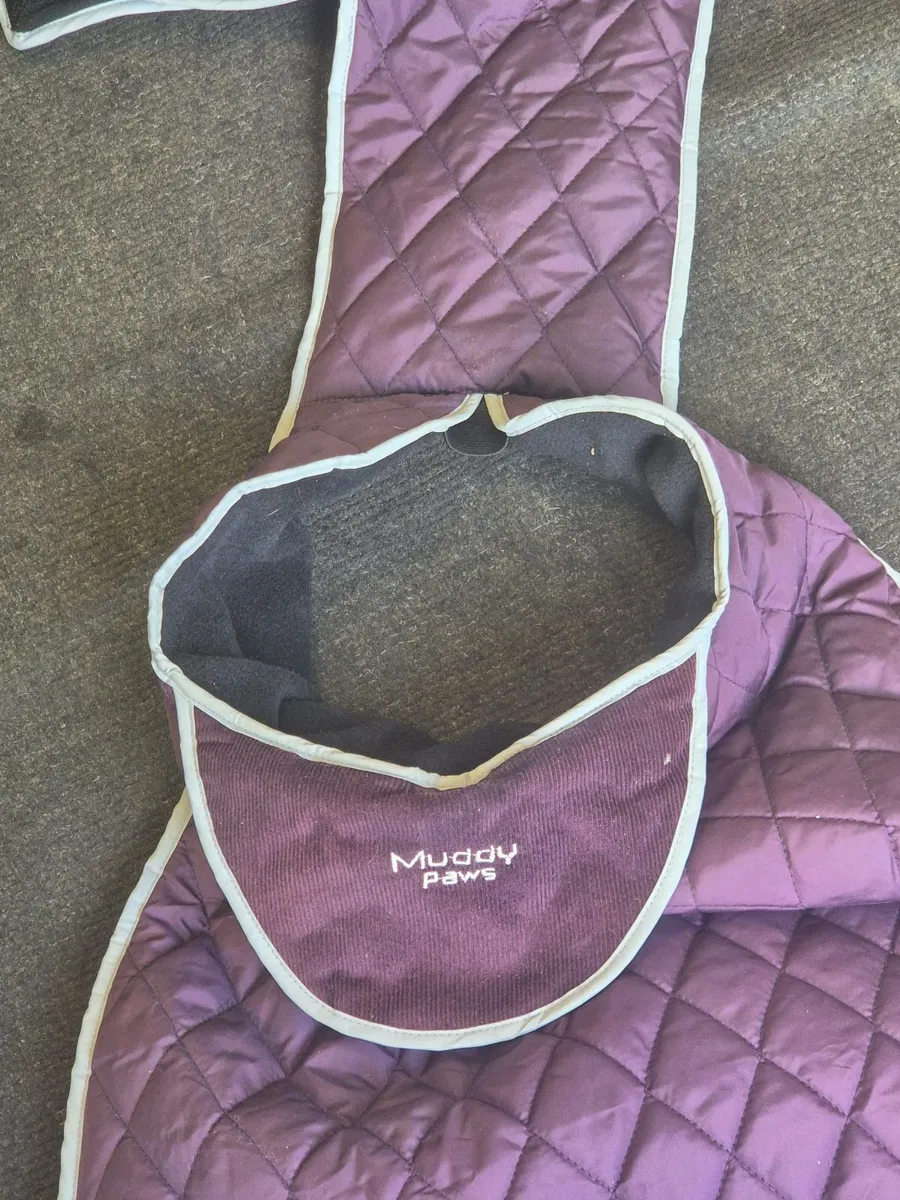 muddy pays jacket for big dog (Golden retrier) - Image 1