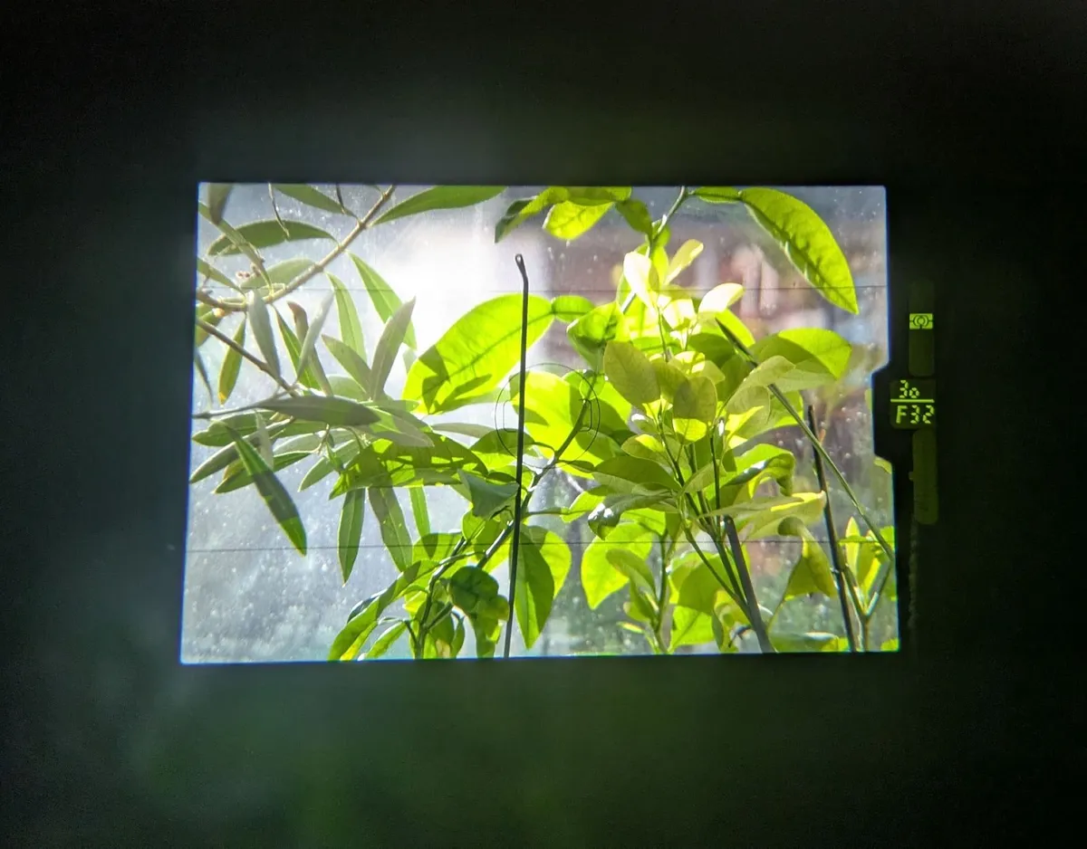 🎞️ Pentax Z1P Autofocus film SLR+ zoom lens - Image 3