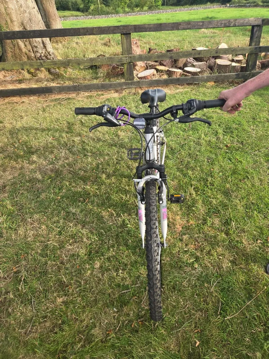 Girls Bicycle - Image 2
