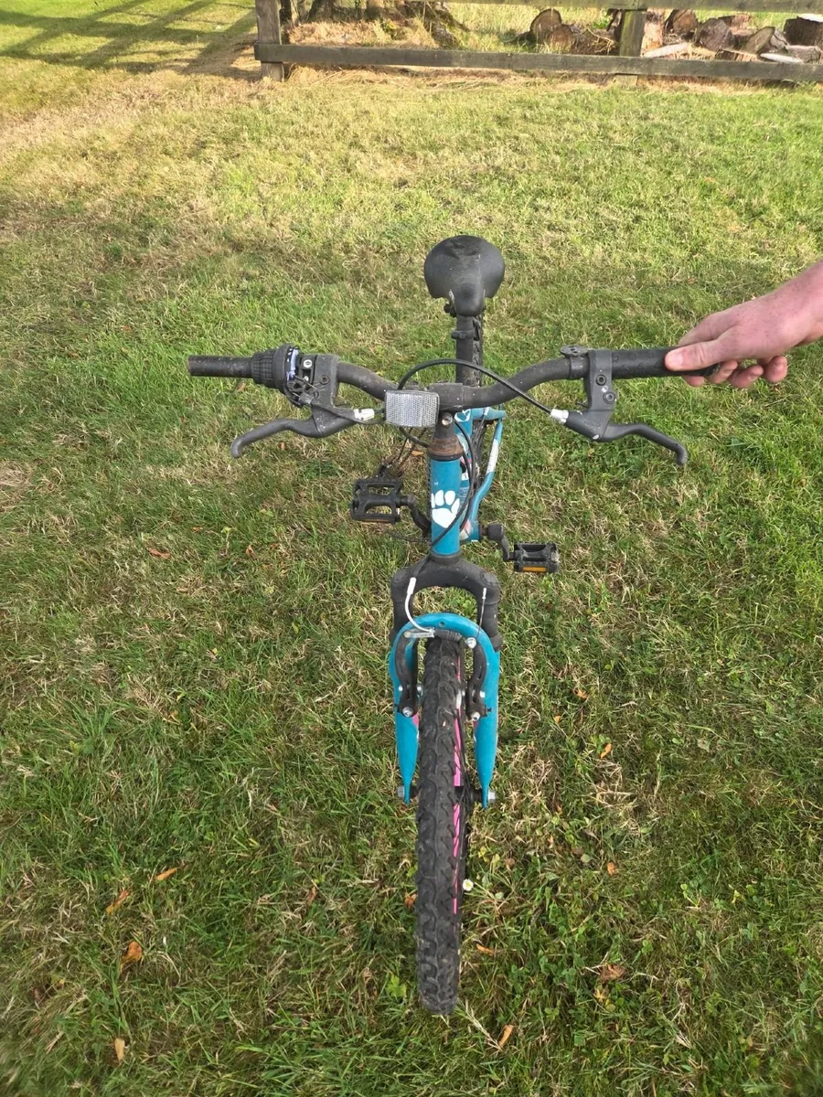 Girls Bicycle - Image 2