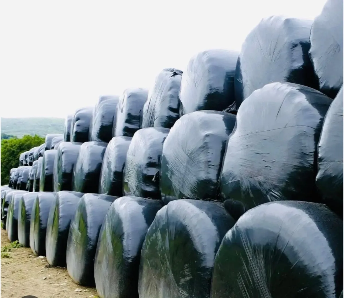 Silage Bales