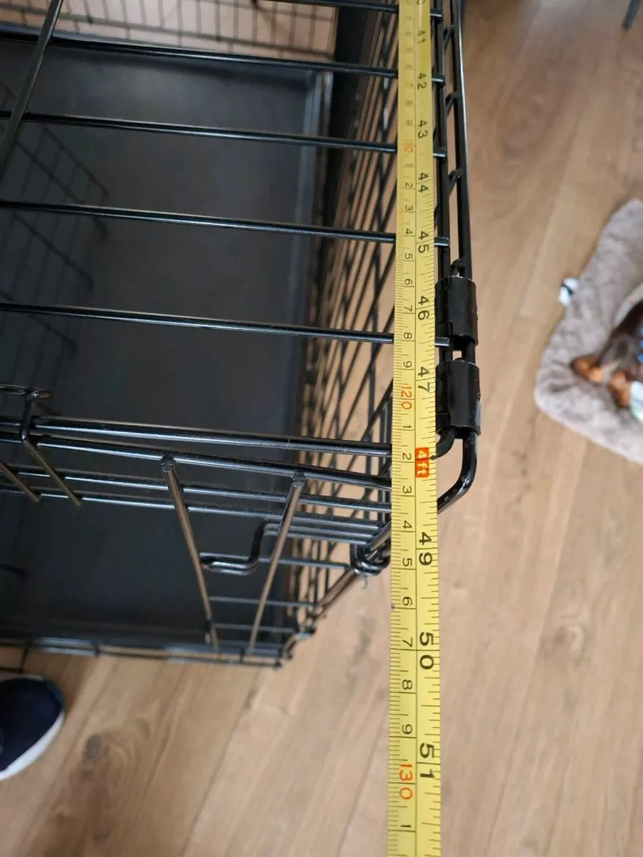 Dog kennel - Image 3