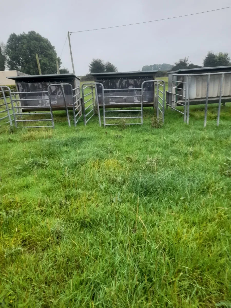 Calf Creep feeders - Image 1