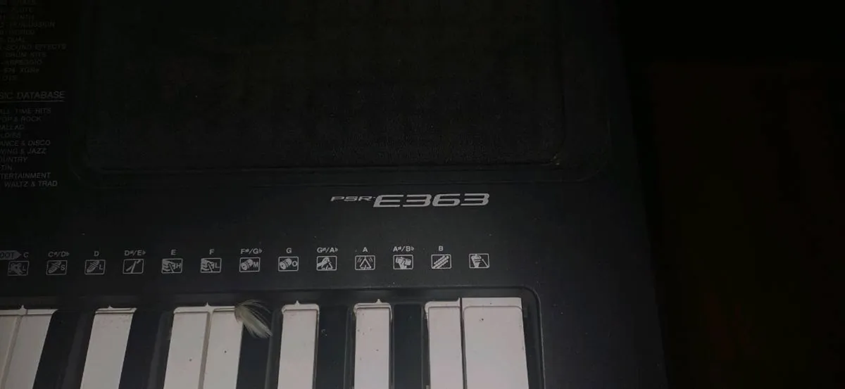 Piano electric Yamaha E363 - Image 4