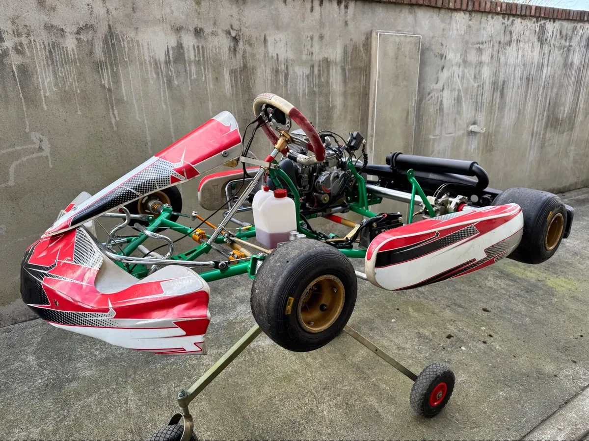 2014  Tony Kart Roatx Max - Image 2