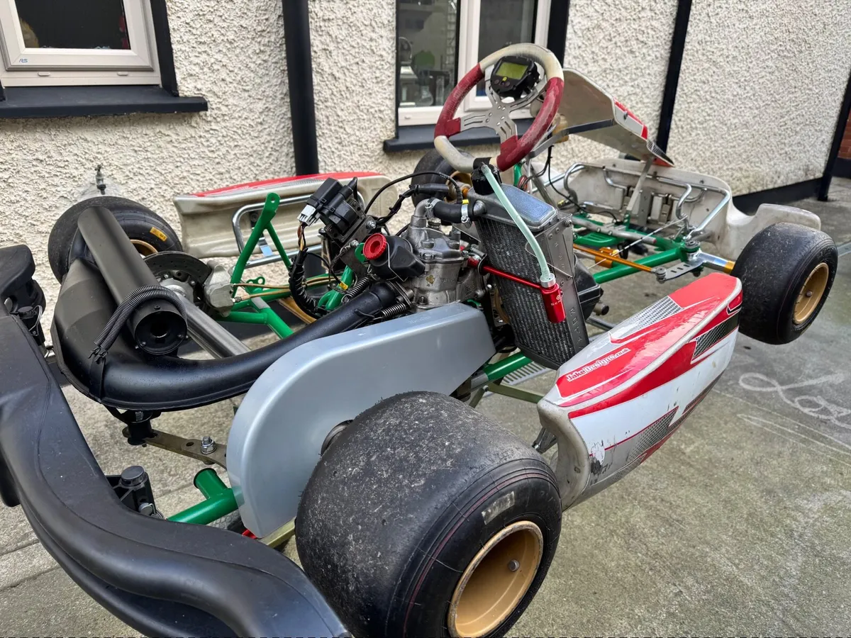 2014  Tony Kart Roatx Max - Image 4